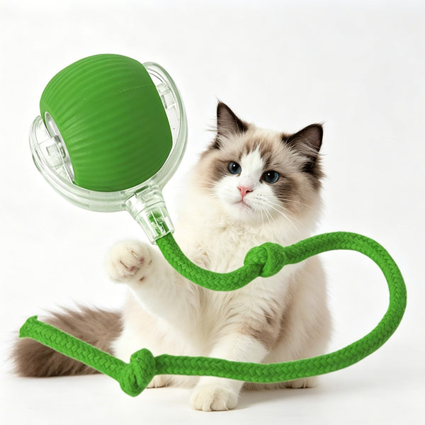Electric Dog Cat Ball Toy Interactive Pet Ball