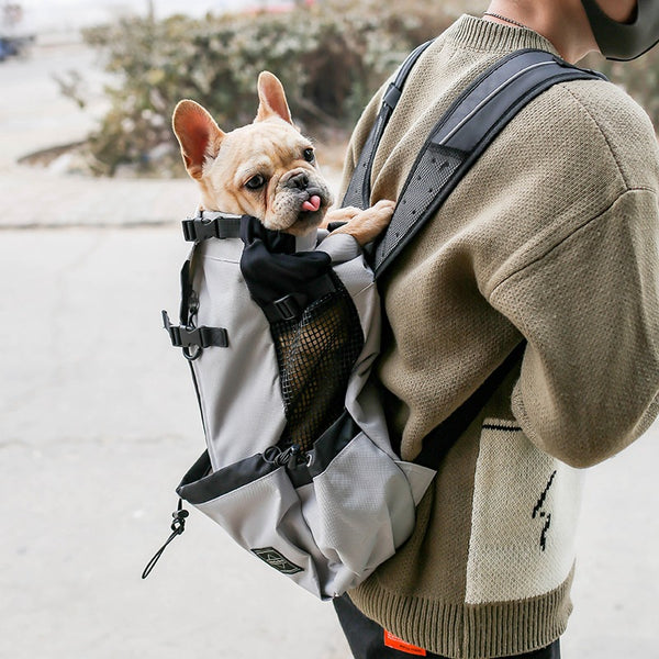 Pet Dog Carrier Bag Double Shoulder Backpack Travel