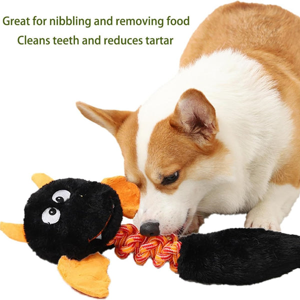Pet Toys