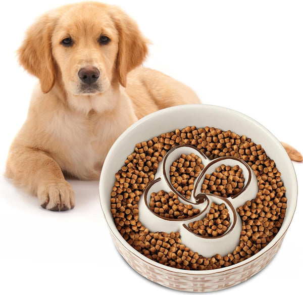 Ceramic Slow Feeder Dog Bowl Anti-Choking Bowl